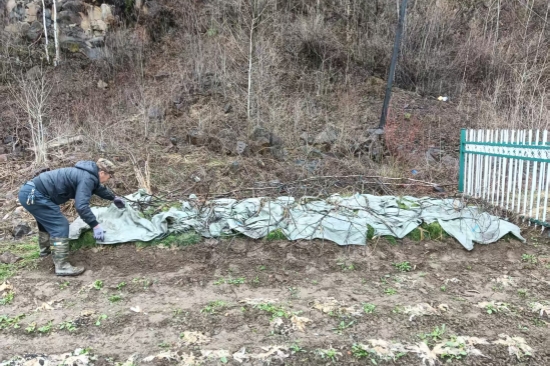 踐行綠色使命 書寫生態(tài)答卷森林資源管護(hù)大隊扎實推進(jìn)春季營林生產(chǎn)工作（2）.jpg