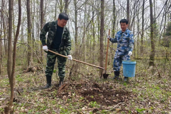營林處：黨旗引領(lǐng)添新綠 植樹造林踐初心（2）.jpg